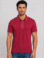 Solid Contrast Tipped Polo T-shirt