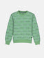printed sweatshirt for boys