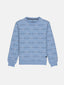 printed sweatshirt for boys