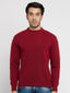turtle neck sweater