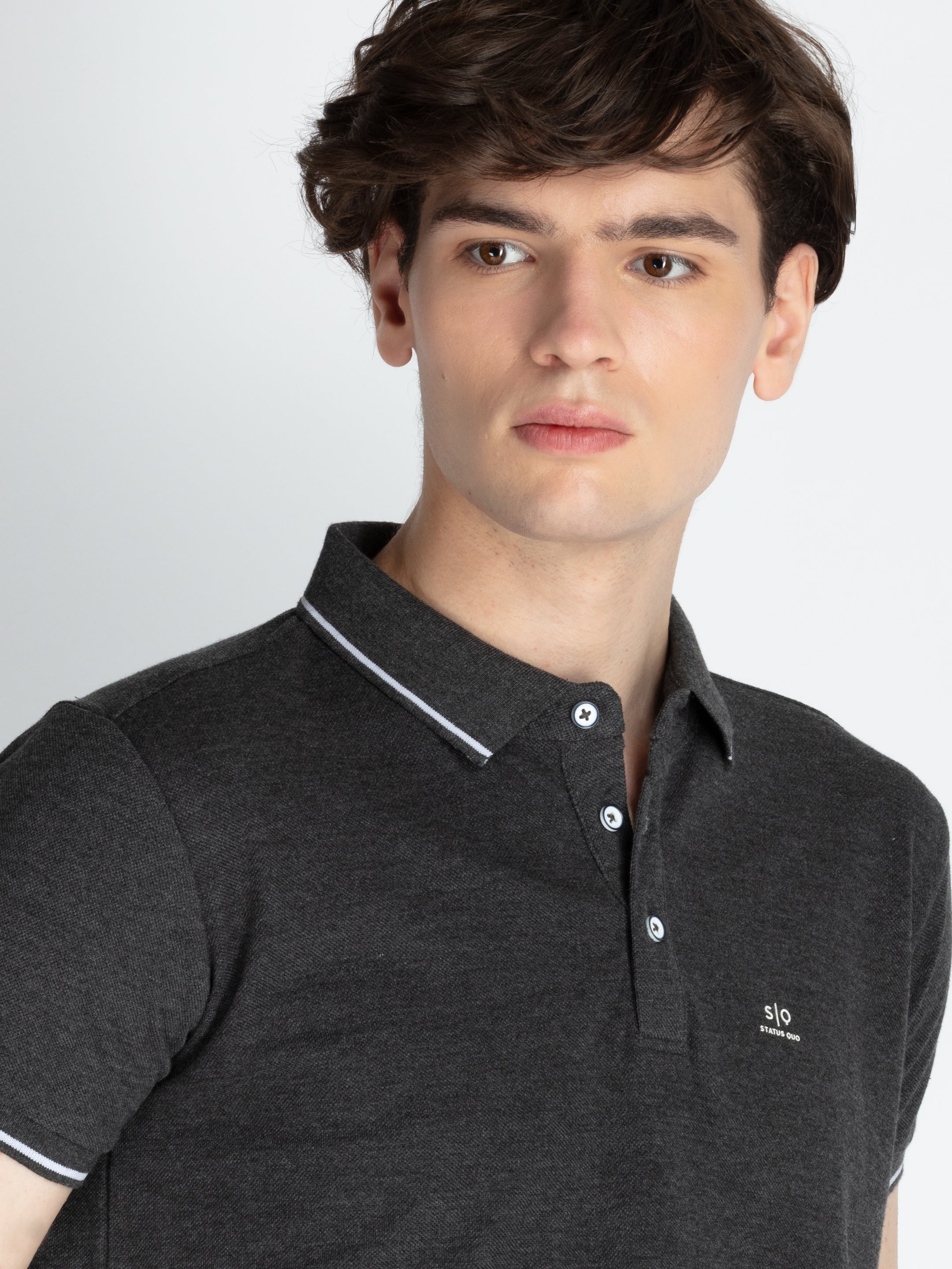 Mens Solid Regular Fit Polo T-Shirt