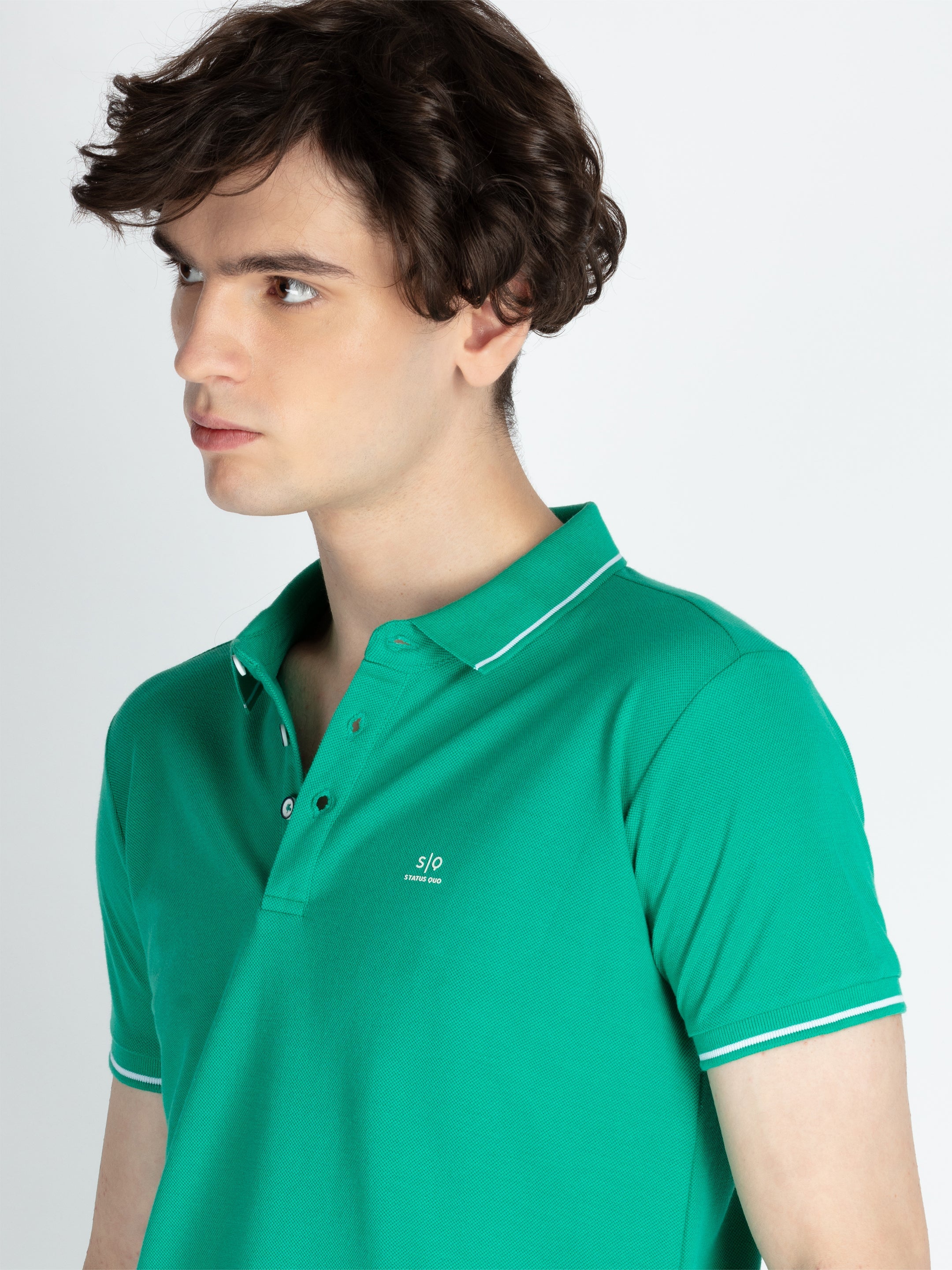 Mens Solid Regular Fit Polo T-Shirt