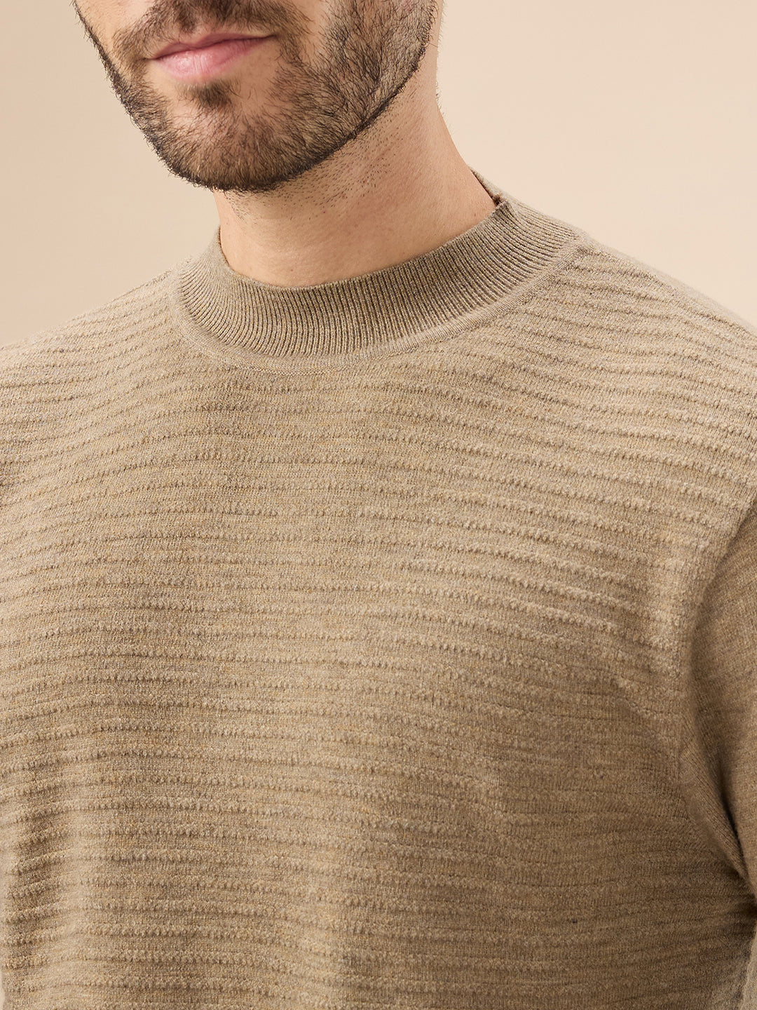 Men's Solid Textured Full Sleeves Round Neck Regular Fit Fleece Sweater