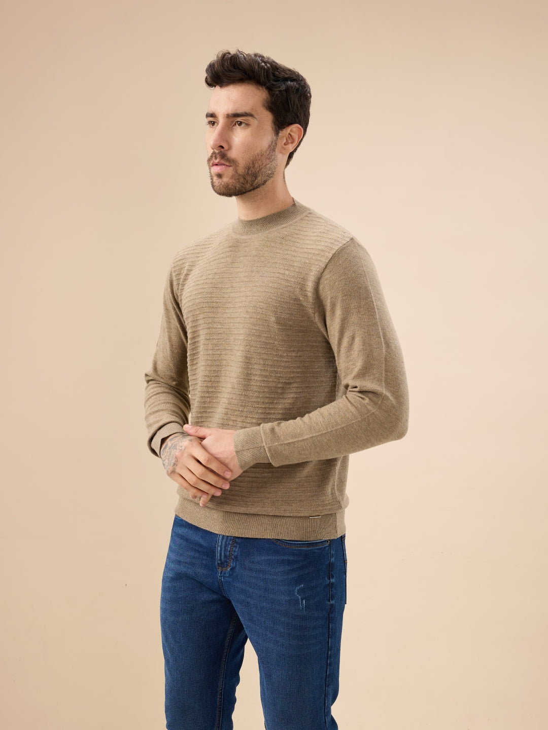 Men's Solid Textured Full Sleeves Round Neck Regular Fit Fleece Sweater Secondary image