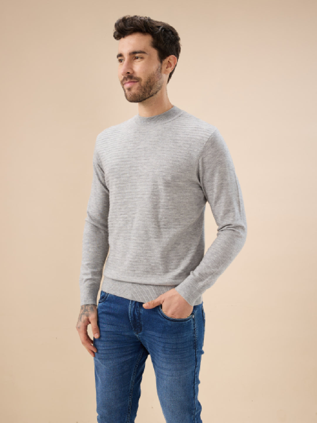 Men's Solid Textured Full Sleeves Round Neck Regular Fit Fleece Sweater Secondary image