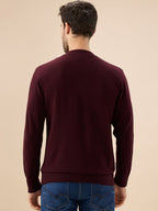Men's Solid Textured Full Sleeves Round Neck Regular Fit Fleece Sweater