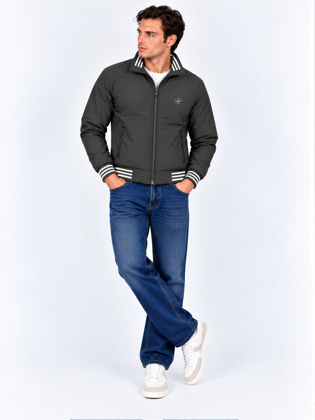 Status Quo |Mens Jackets - S, M, L, XL, XXL,3XL,4XL,5XL