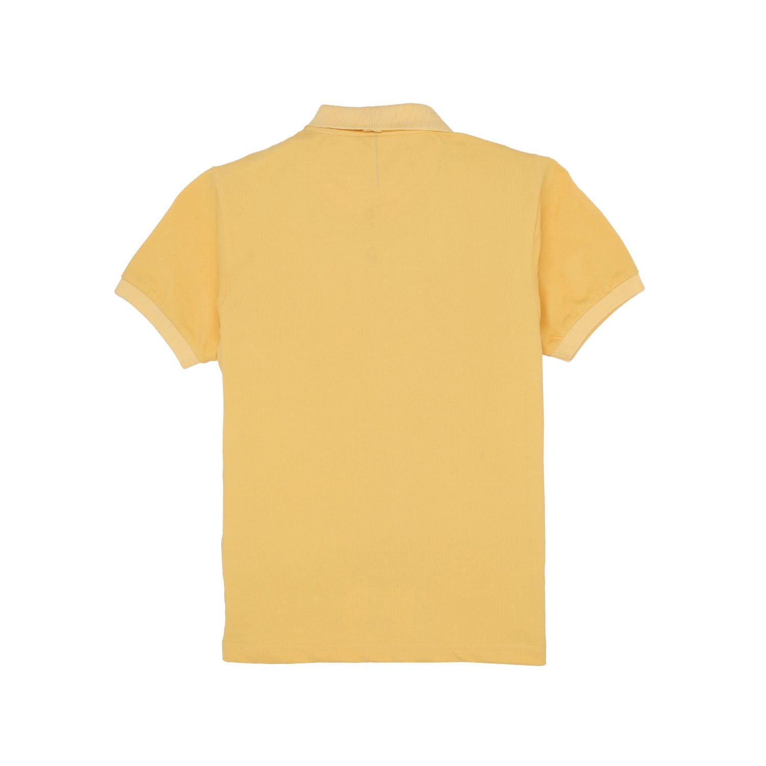 Boys Full-Front Graphic Printed Polo Collar Tshirt