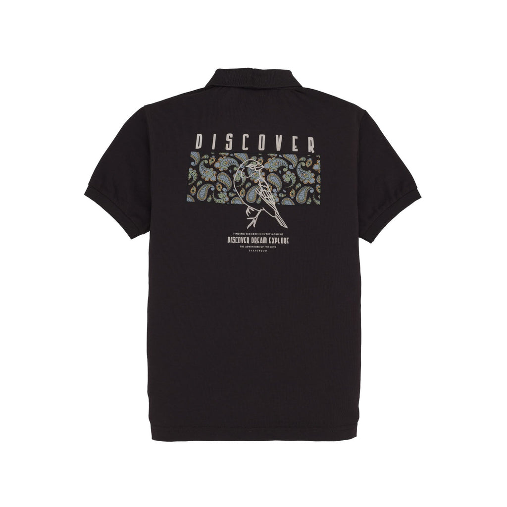 Boys Placement Graphic Printed Polo Collar Tshirt