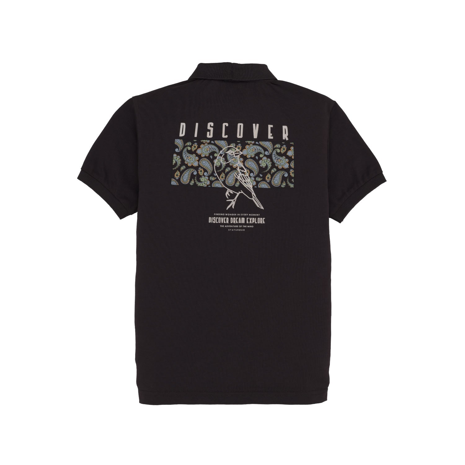Boys Placement Graphic Printed Polo Collar Tshirt