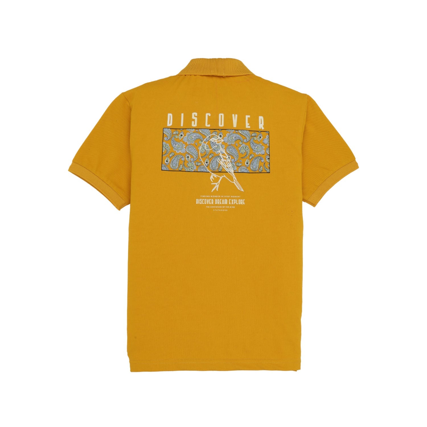 Boys Placement Graphic Printed Polo Collar Tshirt Secondary image