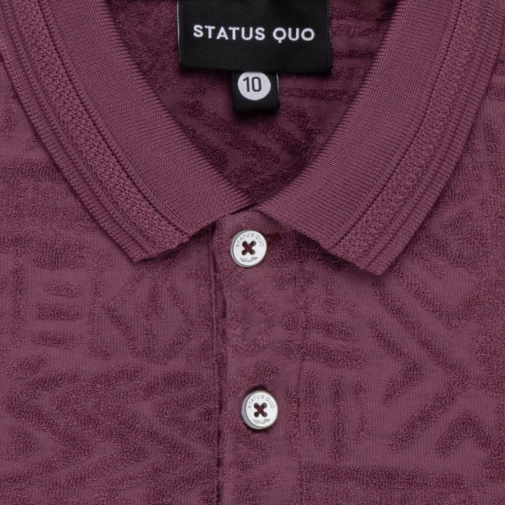 Status Quo Boys Textured Half Sleeves Polo Shirt With Button Detailing.