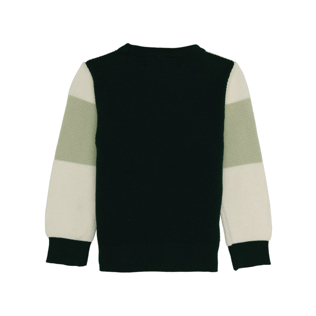 Boys Colourblock Round Neck Sweater