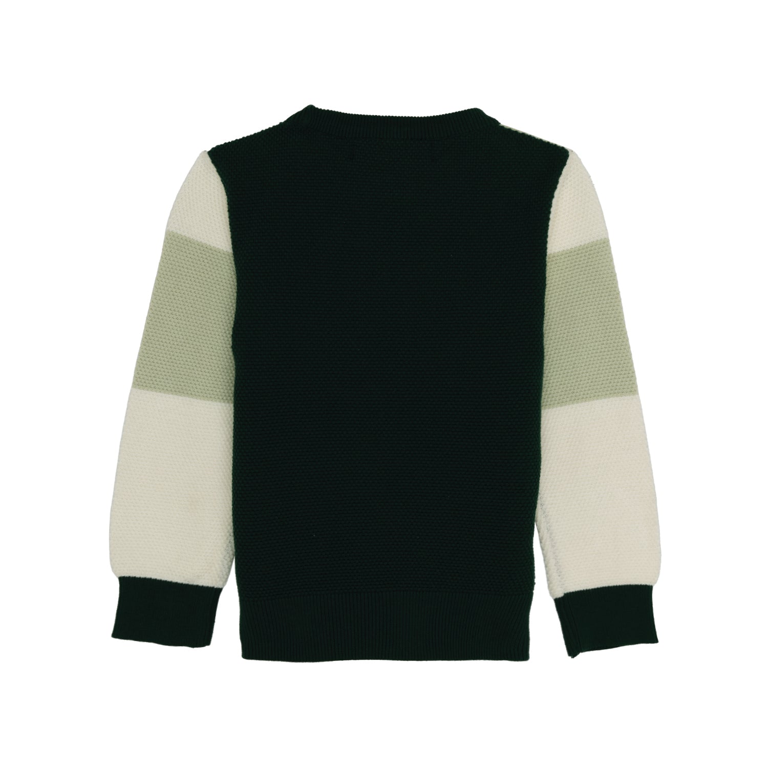 Boys Colourblock Round Neck Sweater