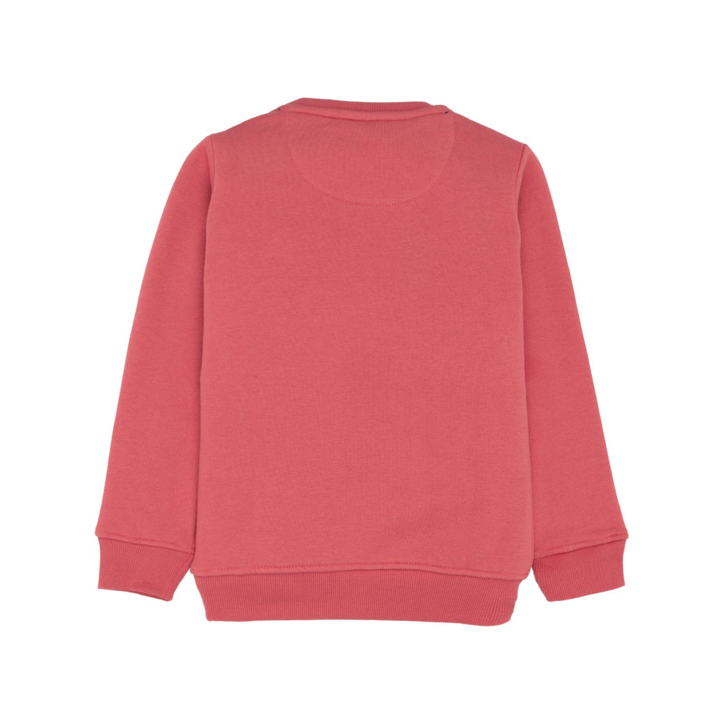 Boys Printed Round Neck Sweatshirt