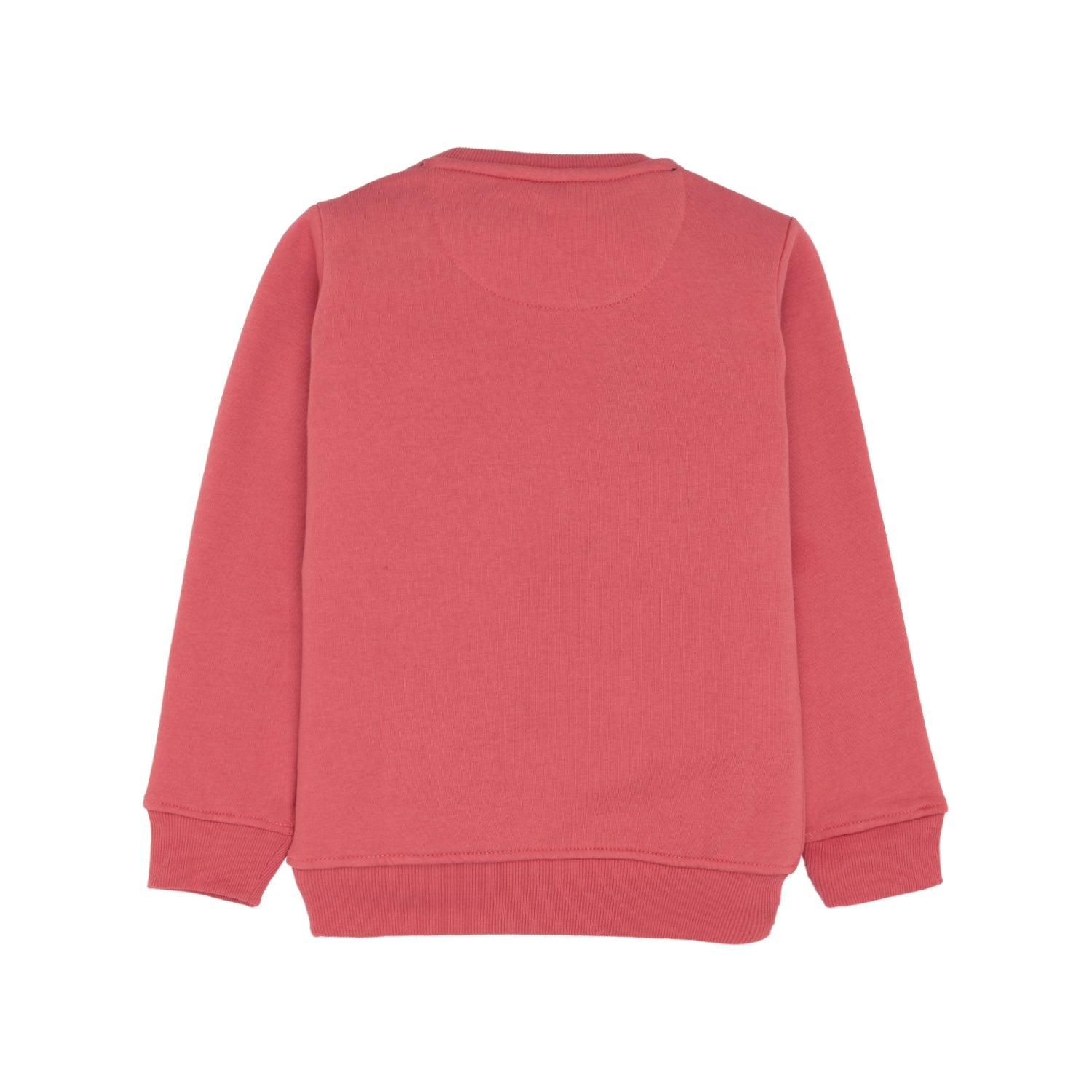 Boys Printed Round Neck Sweatshirt