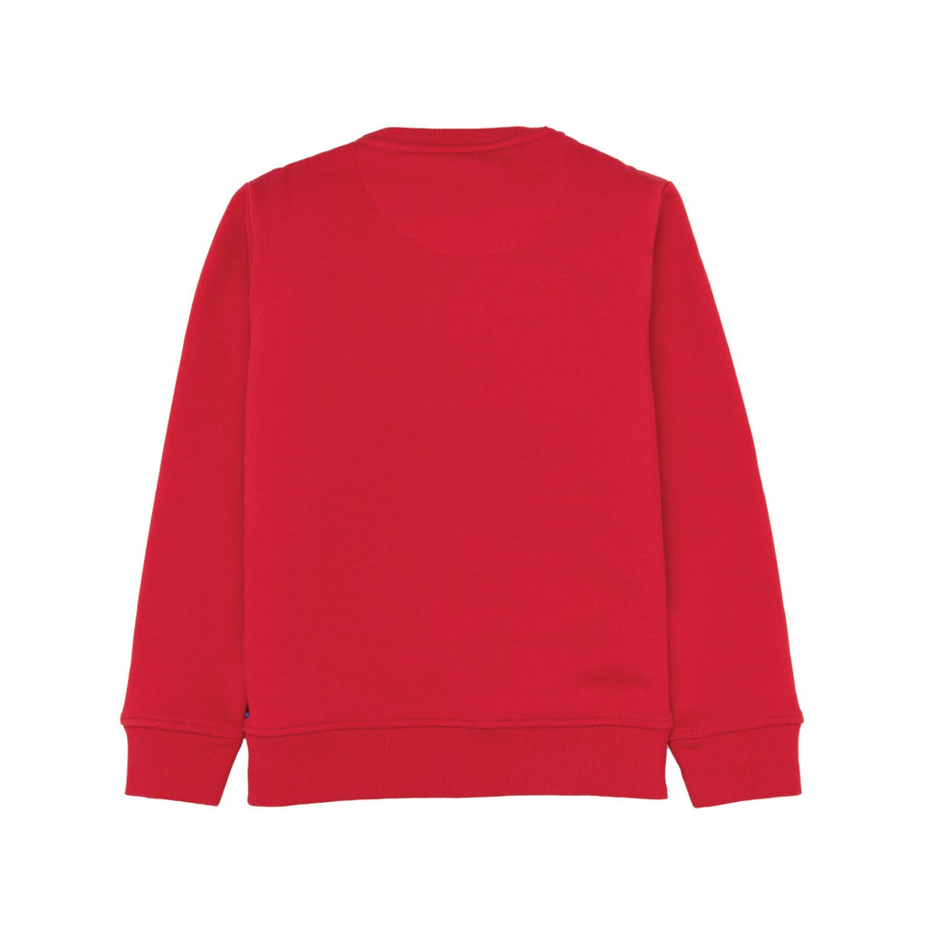 Boys Printed Round Neck Sweatshirt