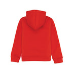 Boys Printed Hooded Sweatshirt