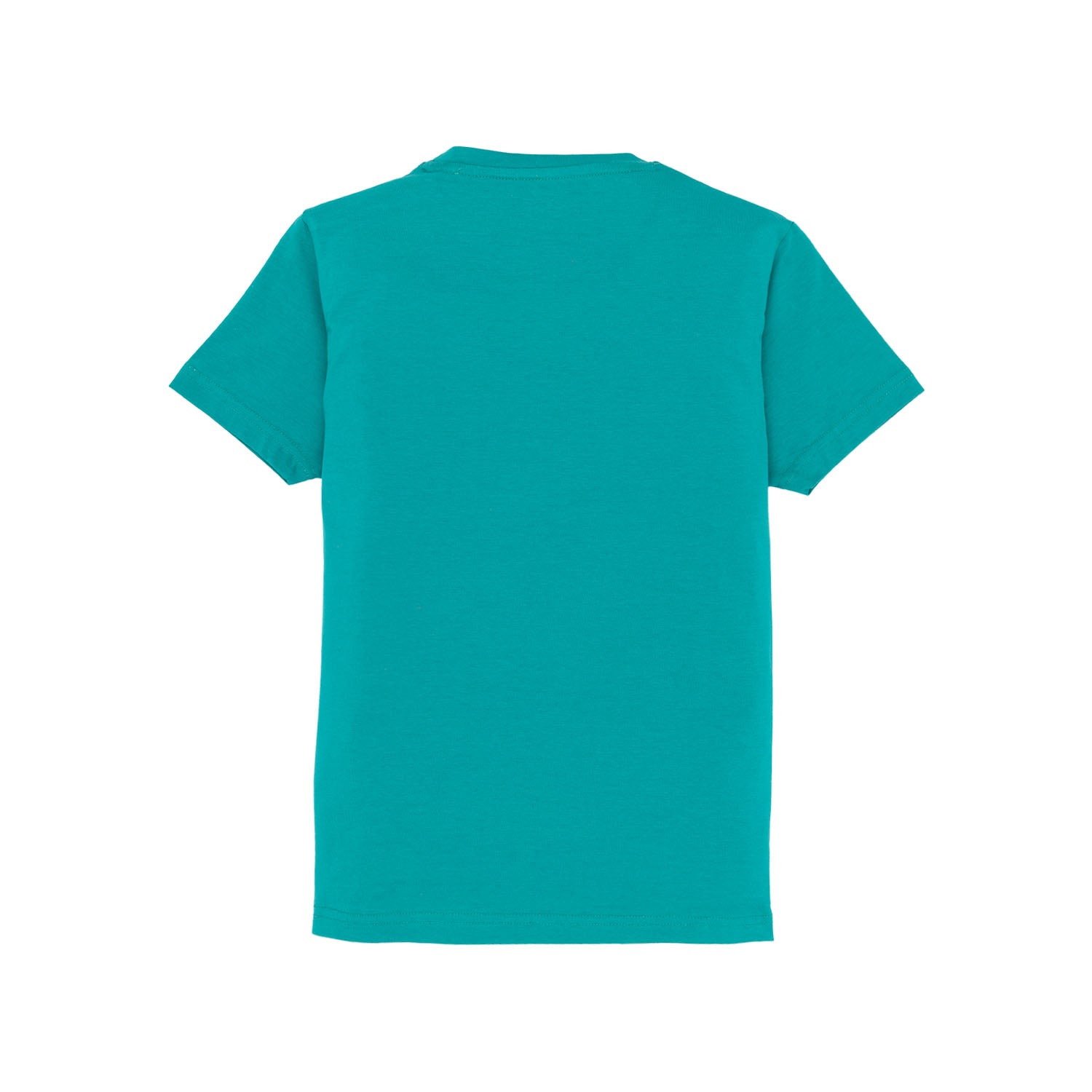 Boys Printed Round Neck T-Shirt