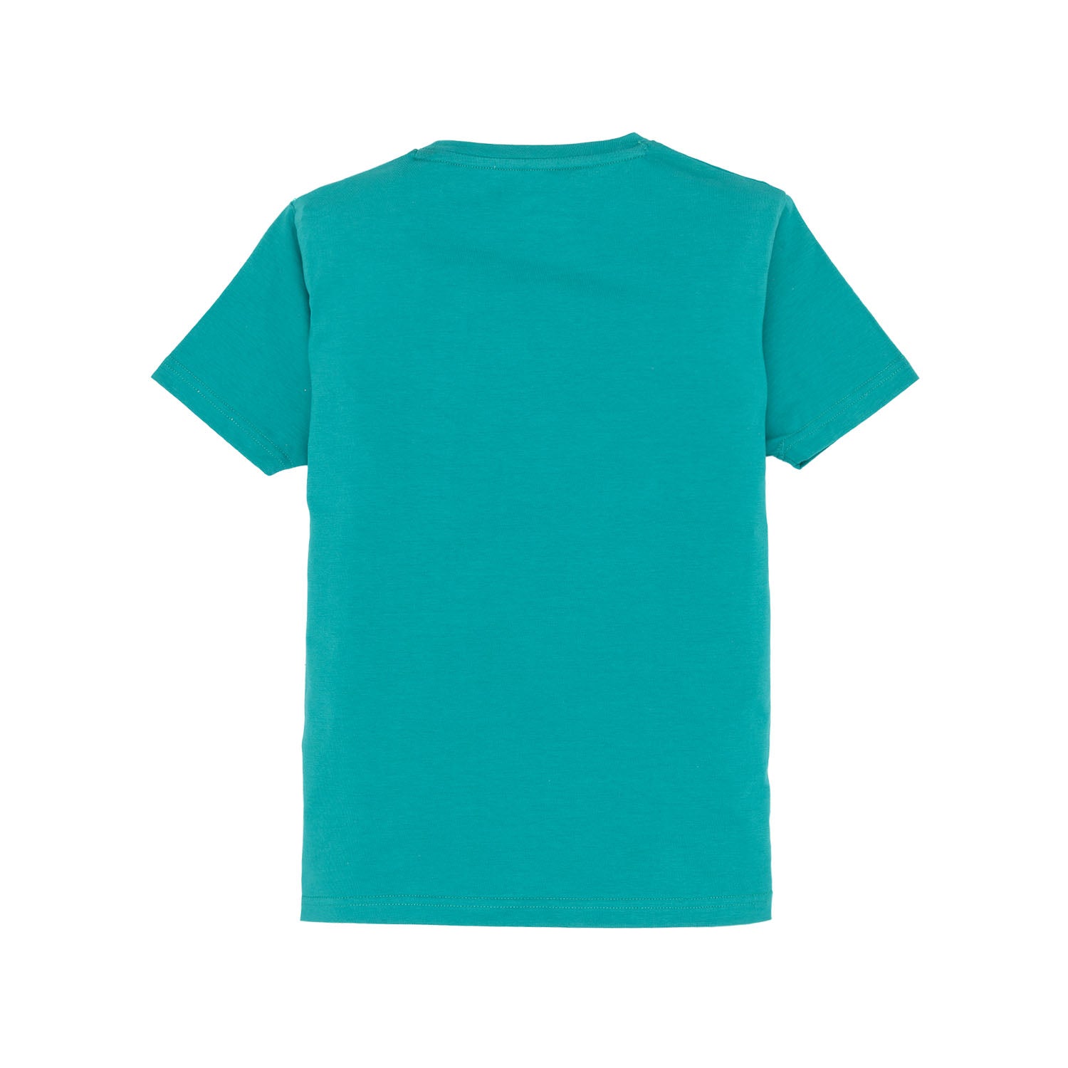Boys Printed Round Neck T-Shirt