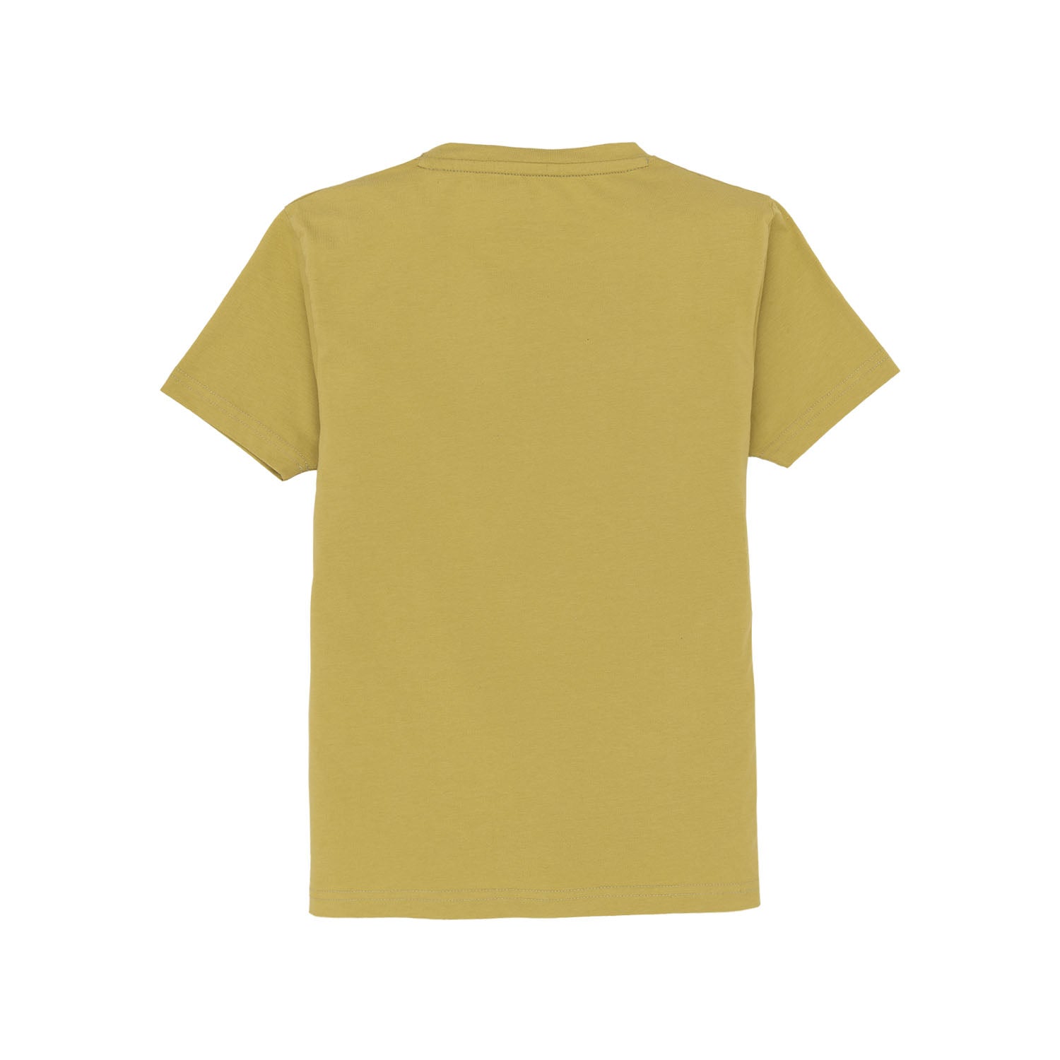 Boys Printed Round Neck T-Shirt