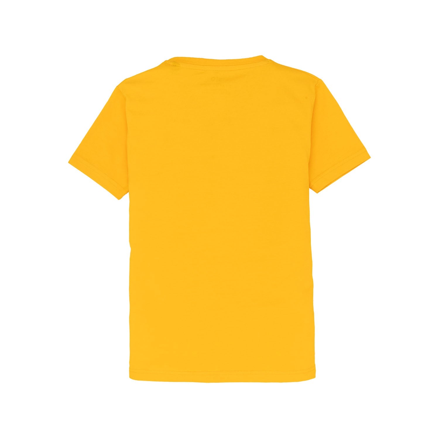Boys Printed Round Neck T-Shirt
