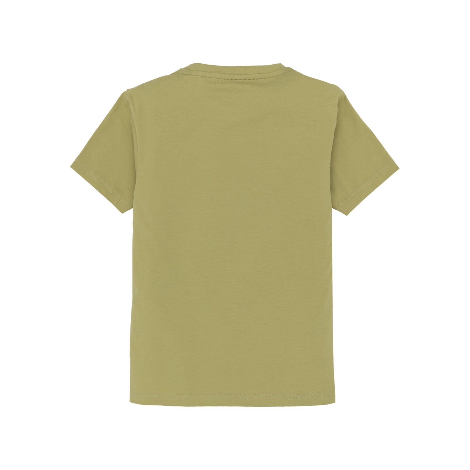 Boys Printed Round Neck T-Shirt