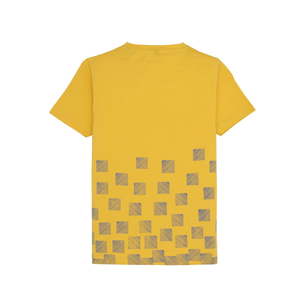 Kids Boys Placement Printed Half Sleeves Regular Fit Tshirt
