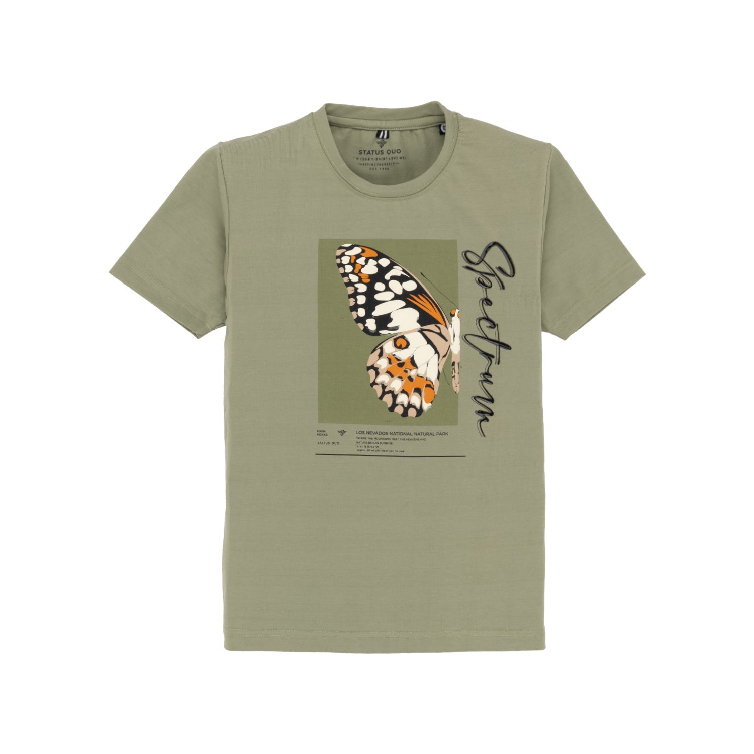 Status Quo |Boys Tshirt- 4, 6, 8, 10, 12, 14, 16