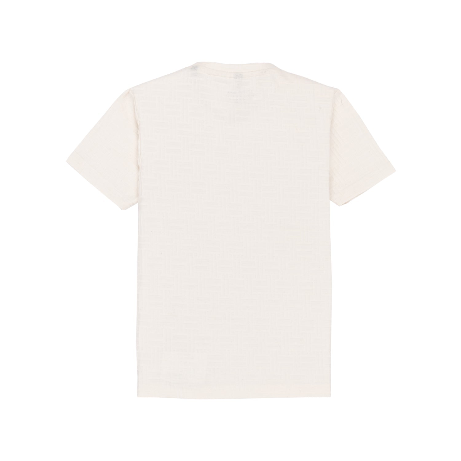 Boys Round Neck Half Sleeve Regular Fit T-Shirt With Chest Typography Print