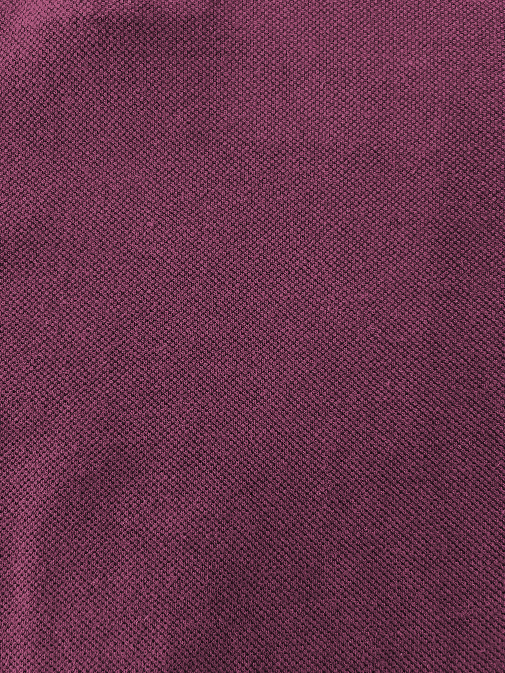 Solid Regular Fit Zipper Polo T-shirt with Tipped Details