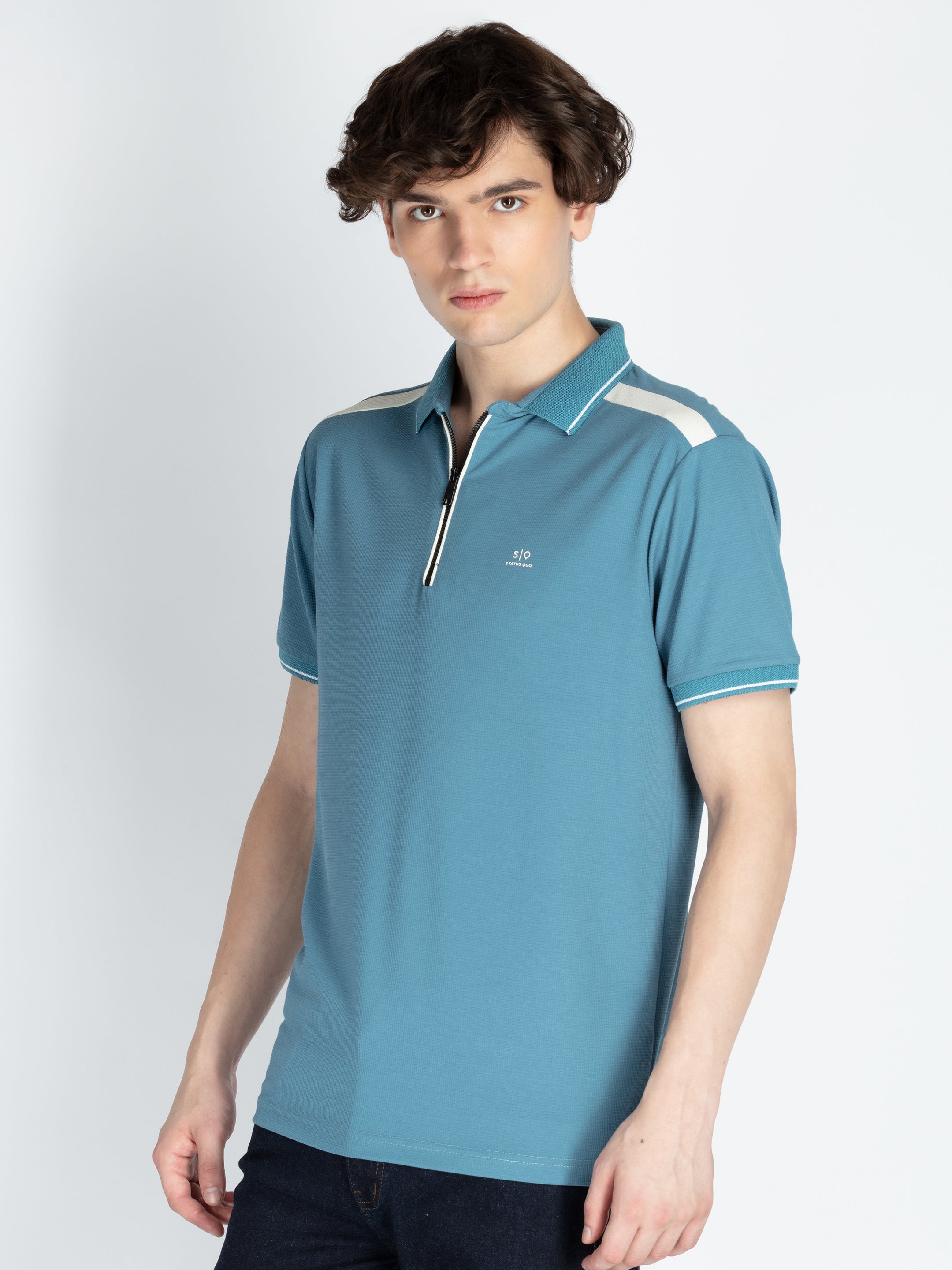 Mens Solid Regular Fit Polo T-Shirt