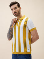 Men's Striped Polo Collar Half Sleeves Regular Fit Tshirt