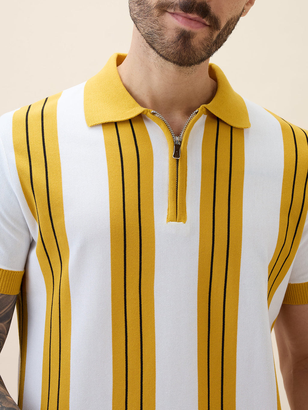 Men's Striped Polo Collar Half Sleeves Regular Fit Tshirt
