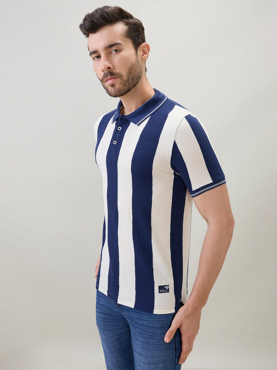 Men's Striped Regular Fit Polo T-Shirt with Tipping Detail and Half Sleeves Secondary image