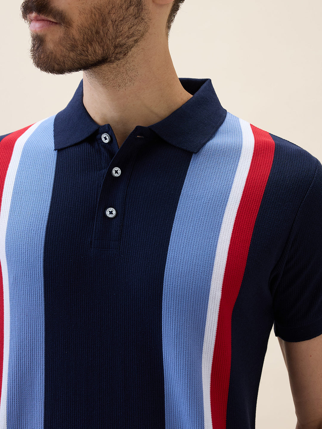 Men's Striped Polo Collar Half Sleeves Regular Fit Tshirt