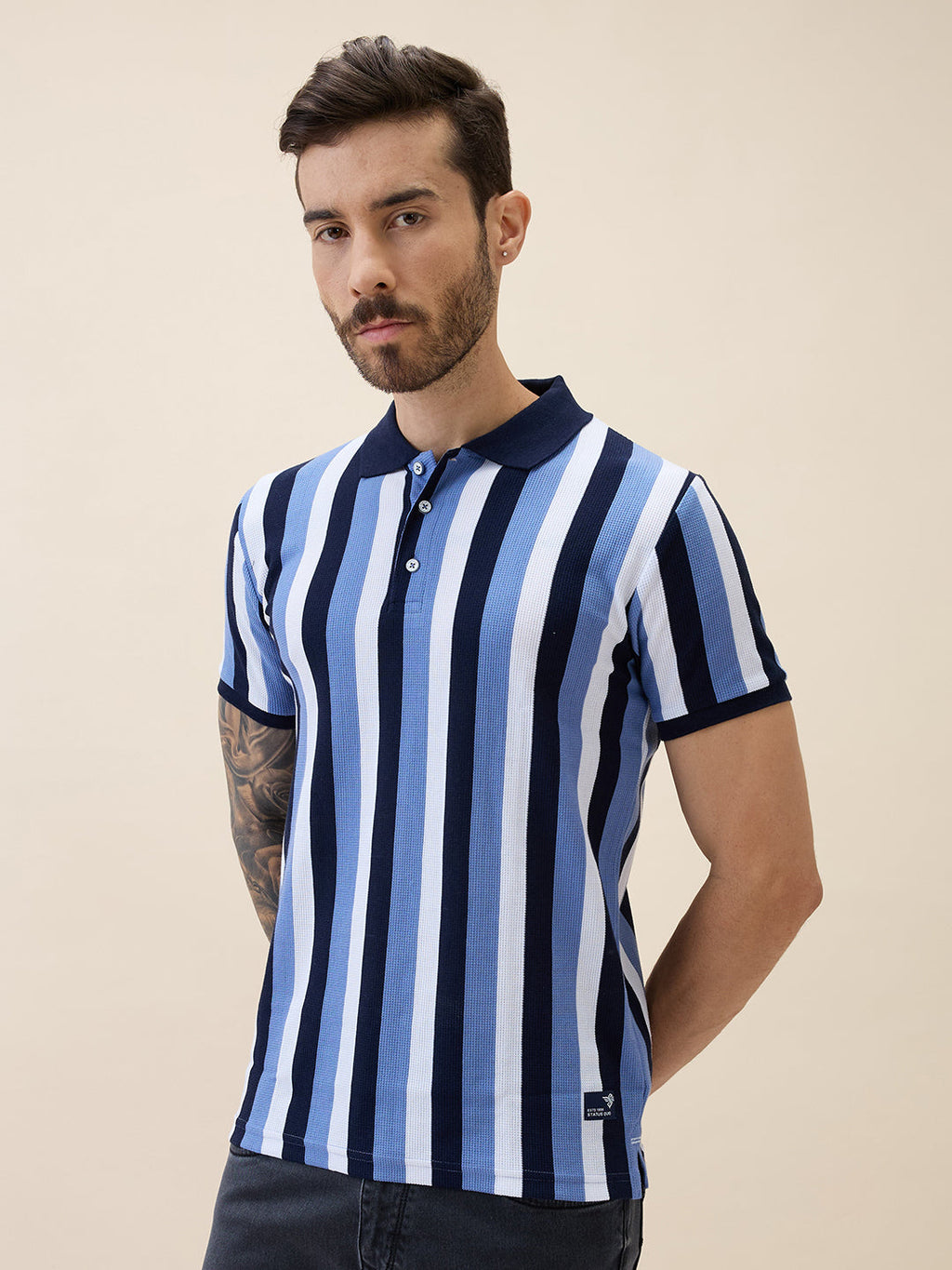 Men's Striped Polo Collar Half Sleeves Regular Fit Tshirt