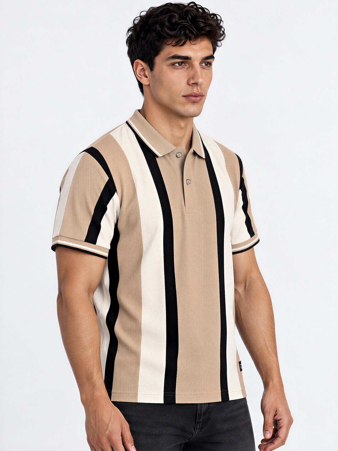 Striped Polo Collar Regular Fit Cotton Blend T-Shirt