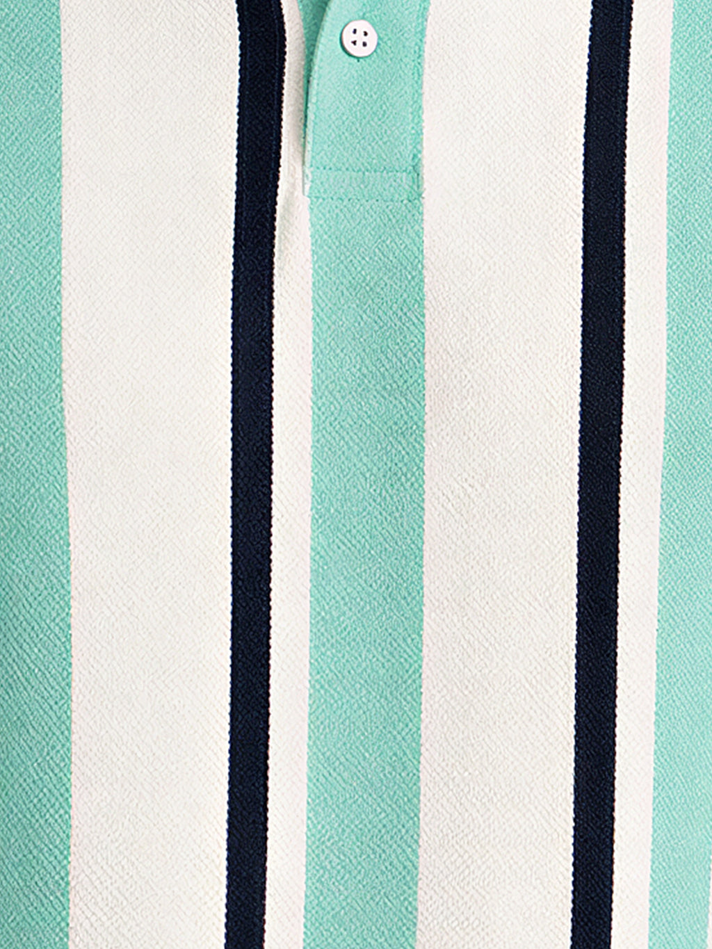 Striped Polo Collar Regular Fit T-Shirt