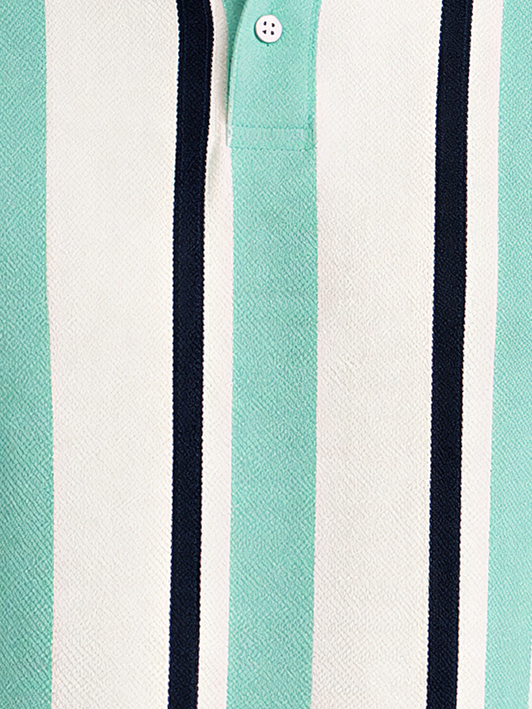 Striped Polo Collar Regular Fit T-Shirt