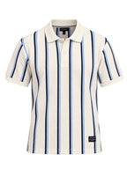 Men's Striped Regular Fit Polo T-Shirt