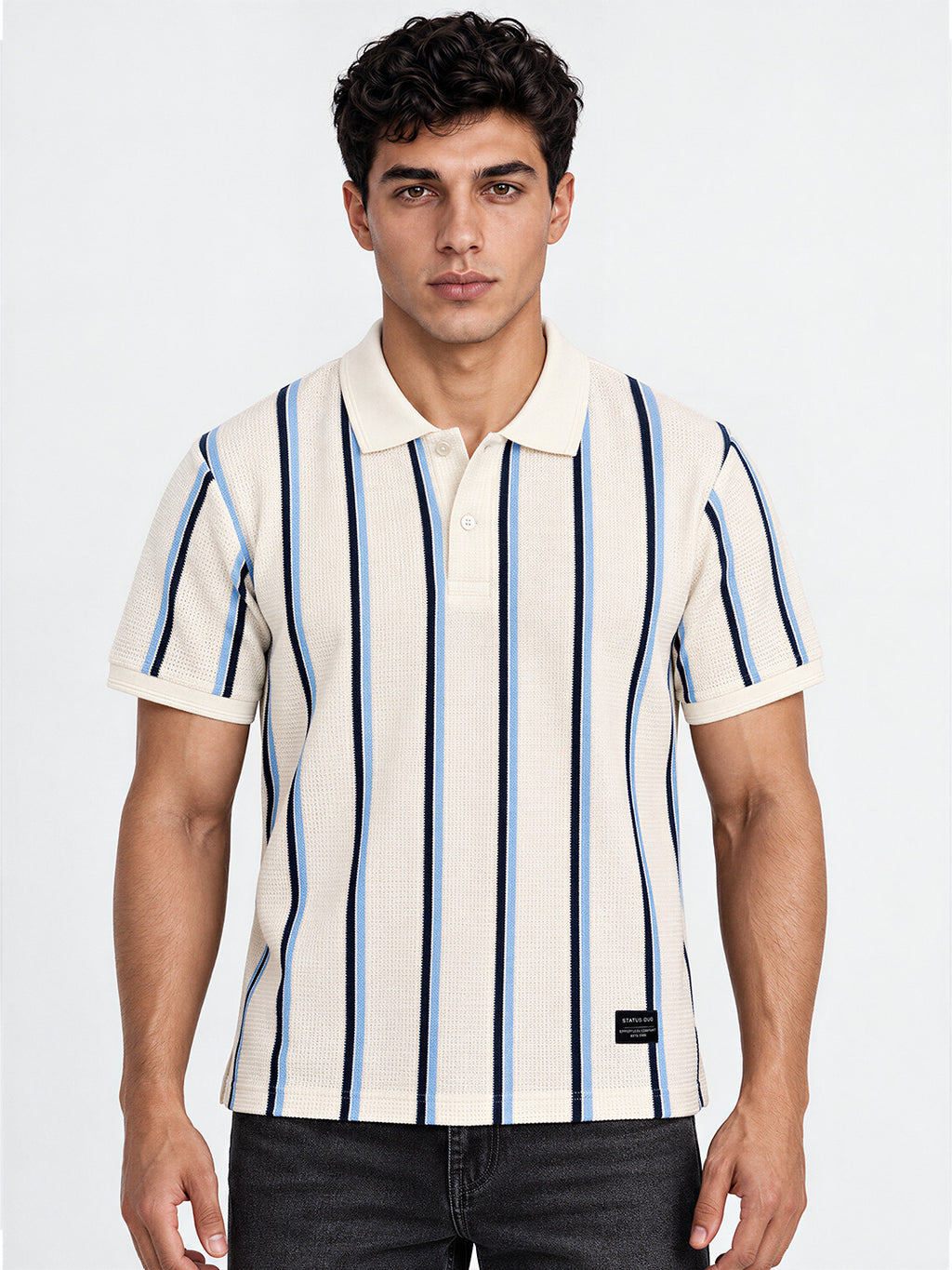 Men's Striped Regular Fit Polo T-Shirt