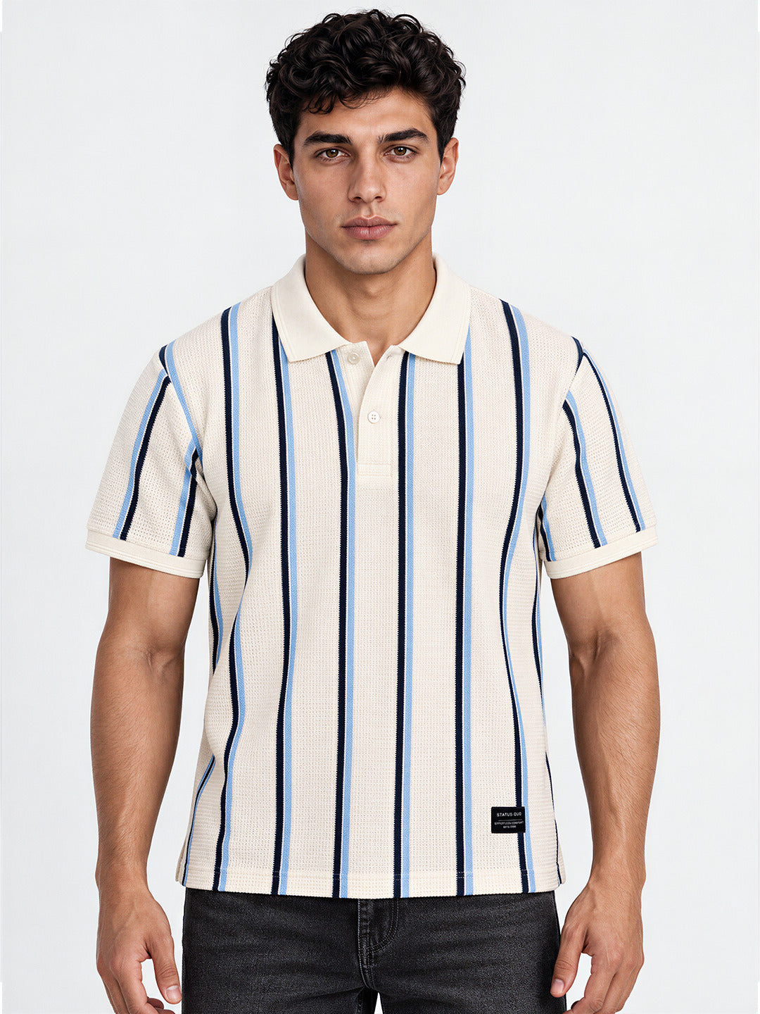 Men's Striped Regular Fit Polo T-Shirt