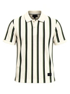 Men's Striped Regular Fit Polo T-Shirt