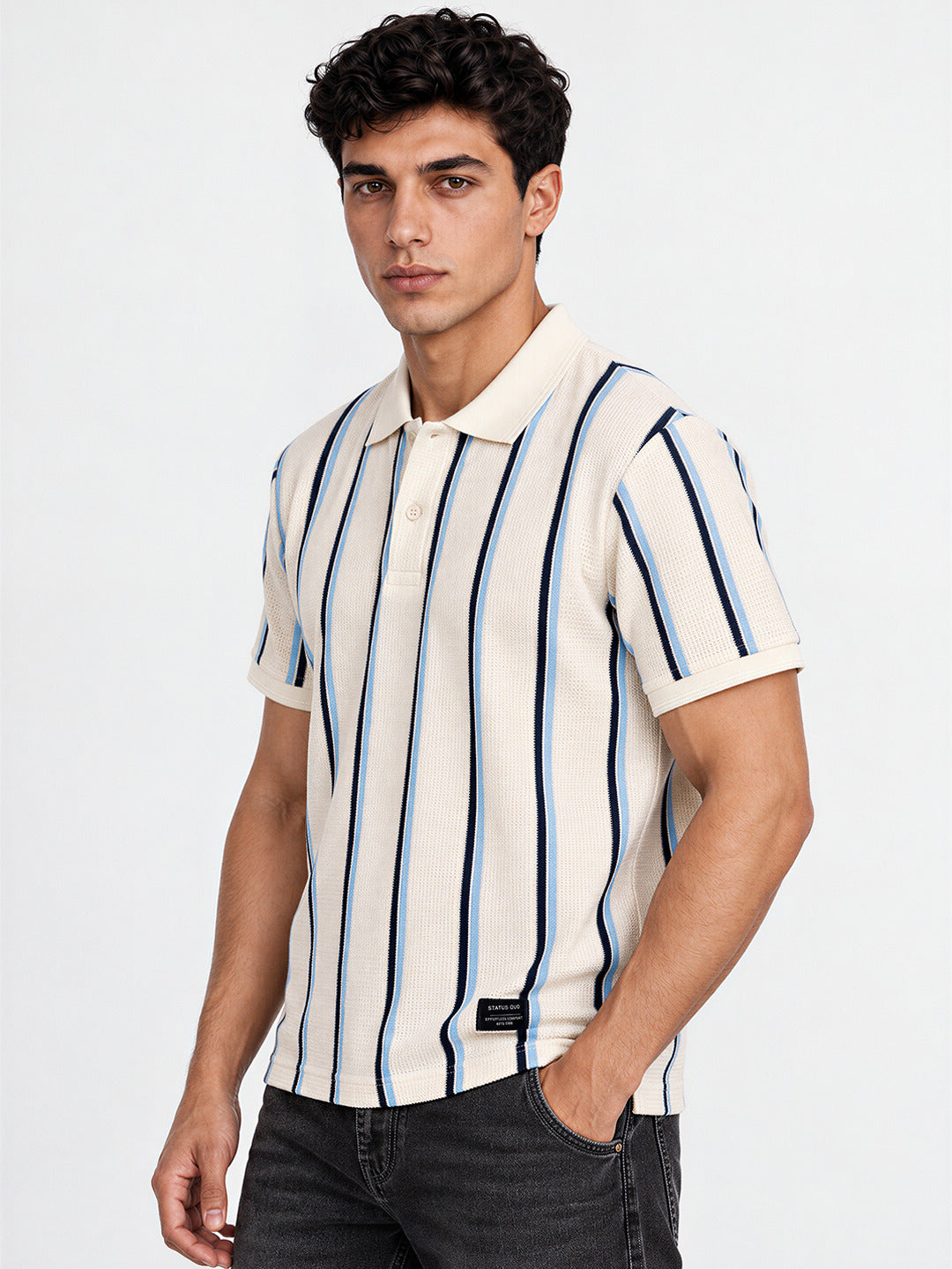 Men's Striped Regular Fit Polo T-Shirt