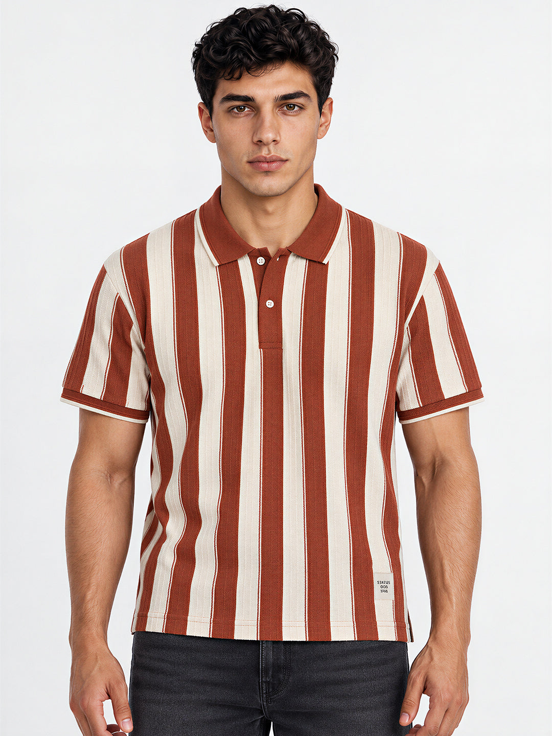 Men's Cotton Blend Striped Polo Collar Regular Fit T-Shirt