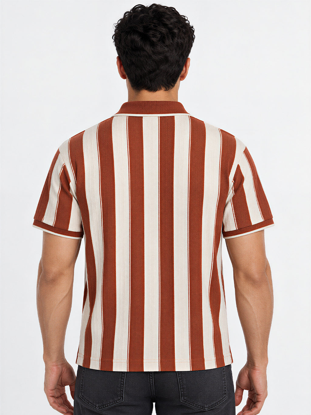 Men's Cotton Blend Striped Polo Collar Regular Fit T-Shirt