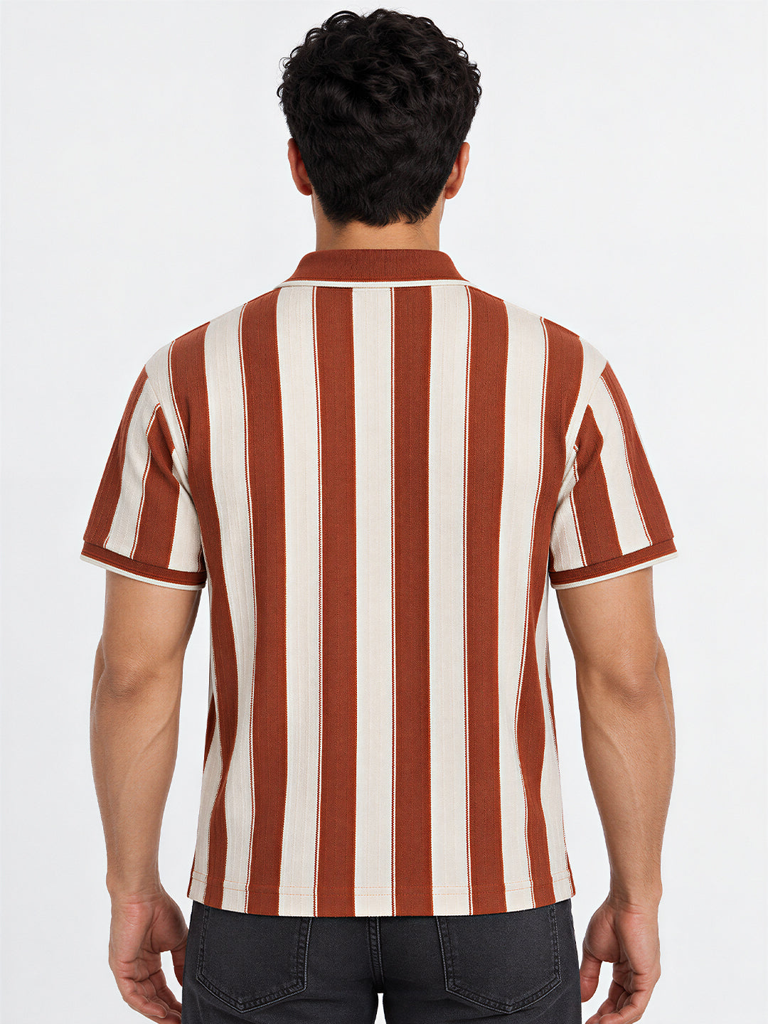 Men's Cotton Blend Striped Polo Collar Regular Fit T-Shirt
