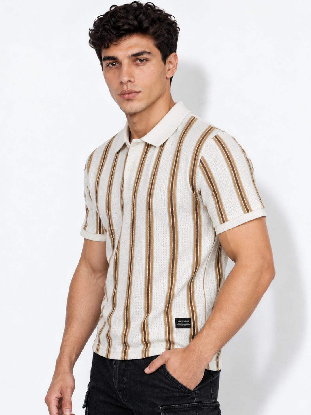 Men's Striped Polo Collar Regular Fit T-Shirt