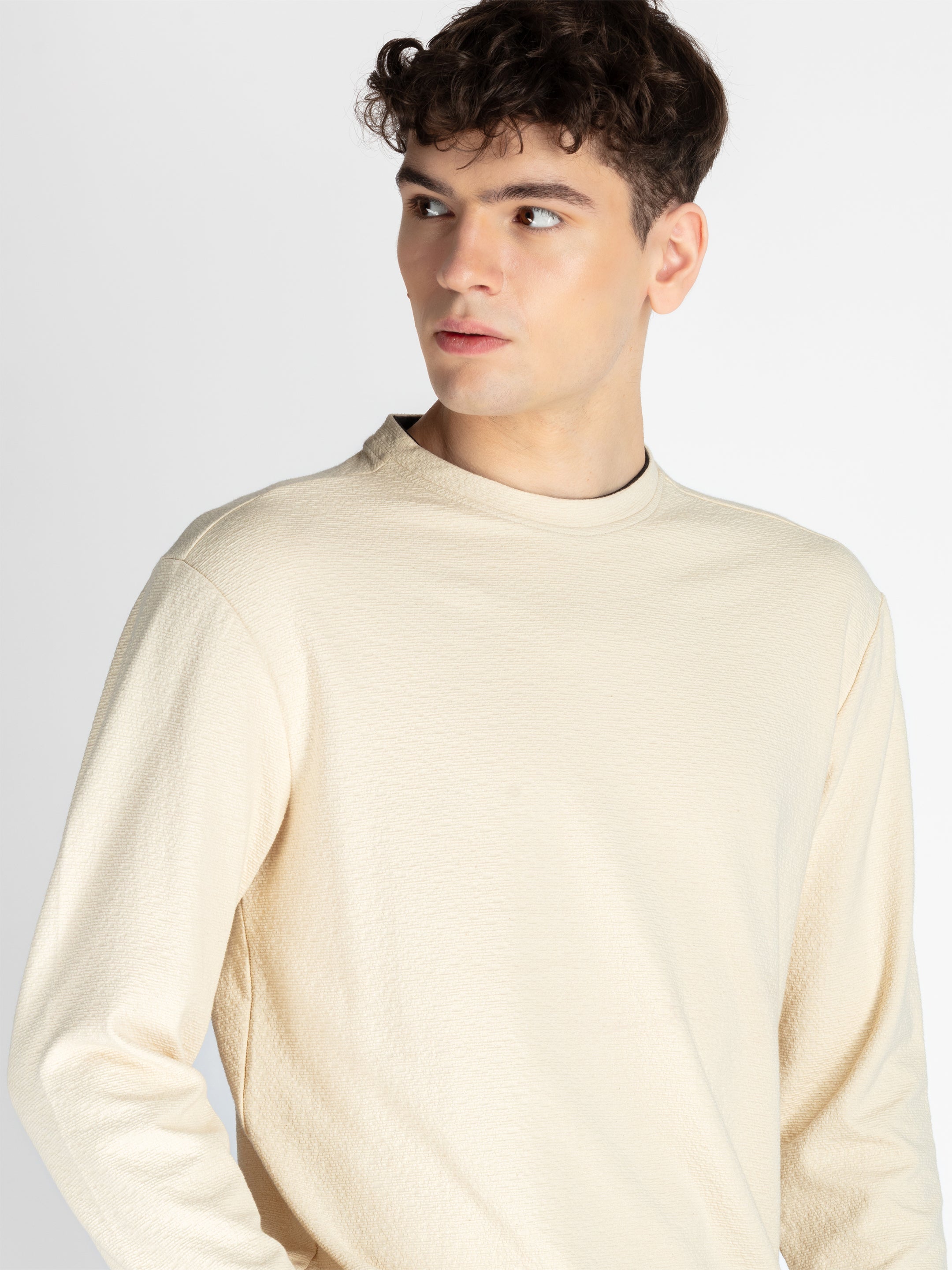 Mens Solid Round Neck Lightweight Sweatshirt